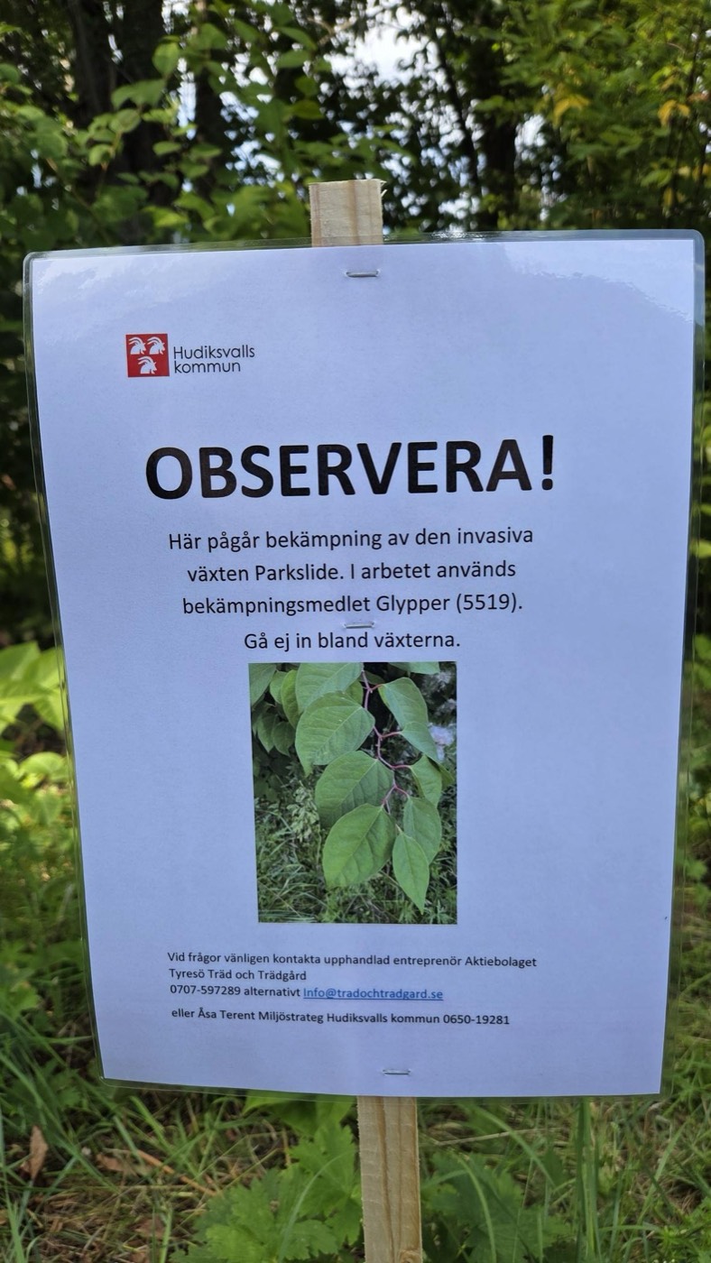 Skylt från Hudiksvalls kommun om att bekämpning av parkslide pågår med bekämpningsmedlet Glypper.